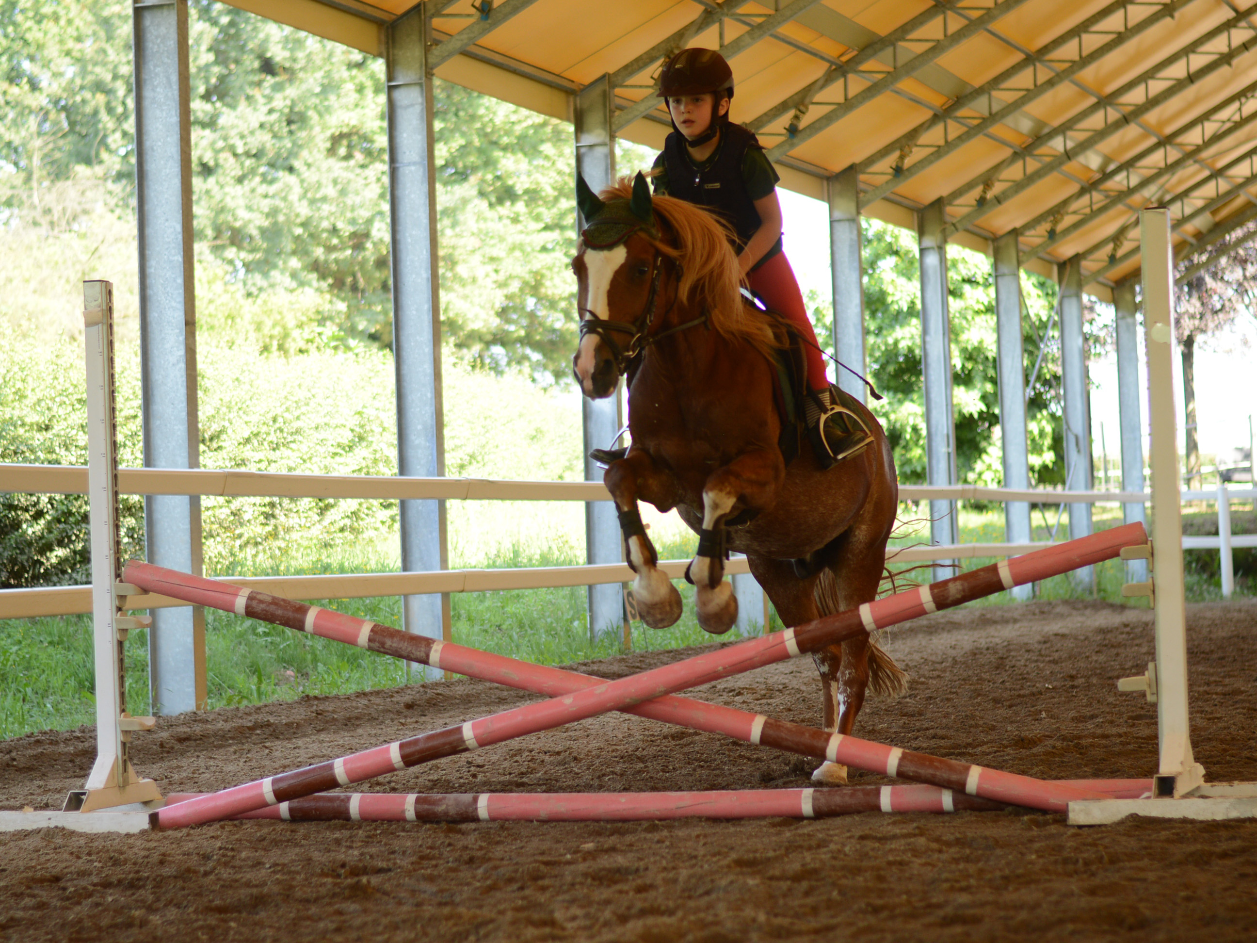 scuola_equitazione_pony_centro_ippico_la_fonda_varese_0011_318