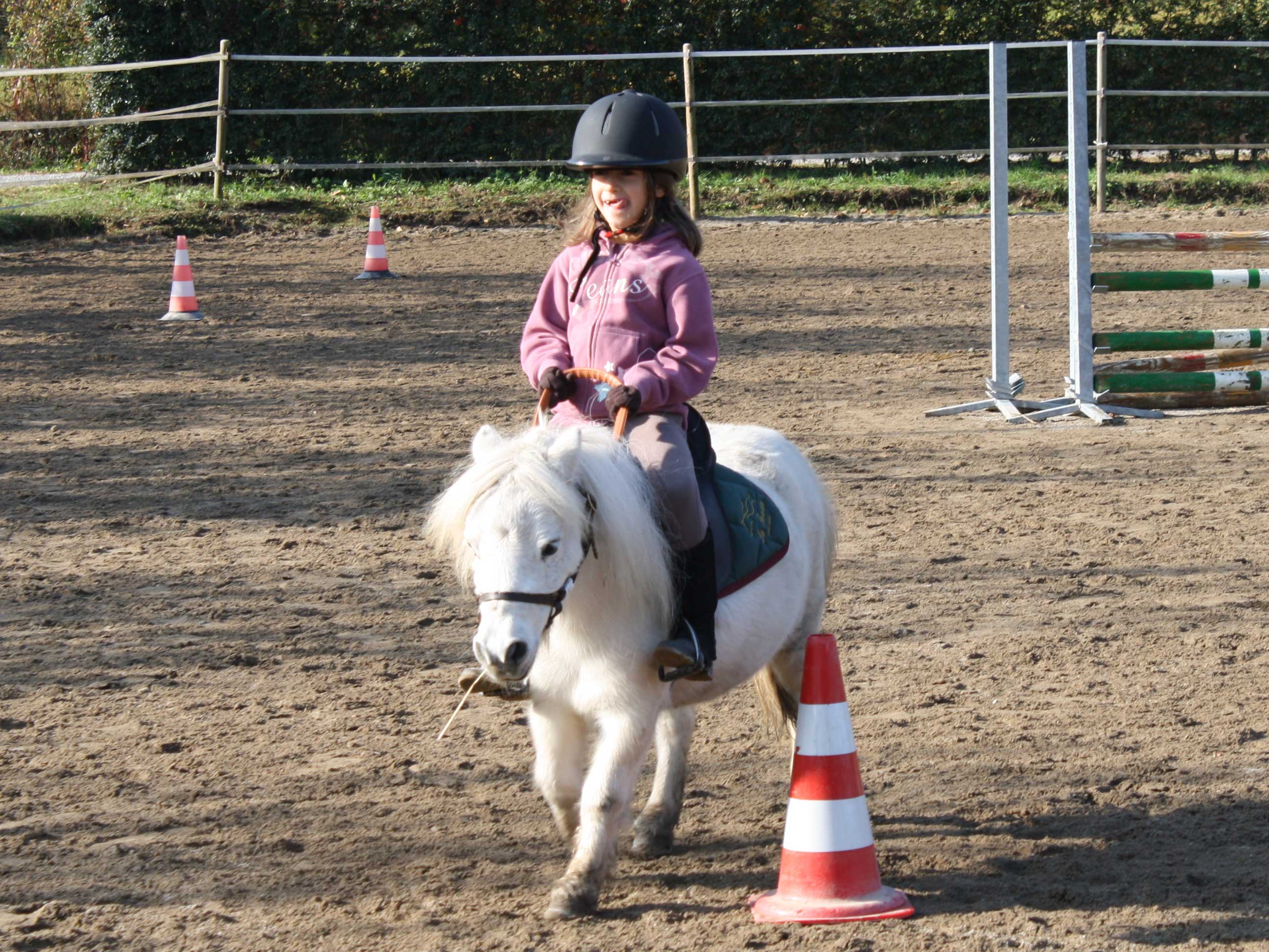 scuola_pony_centro_ippico_la_fonda_7